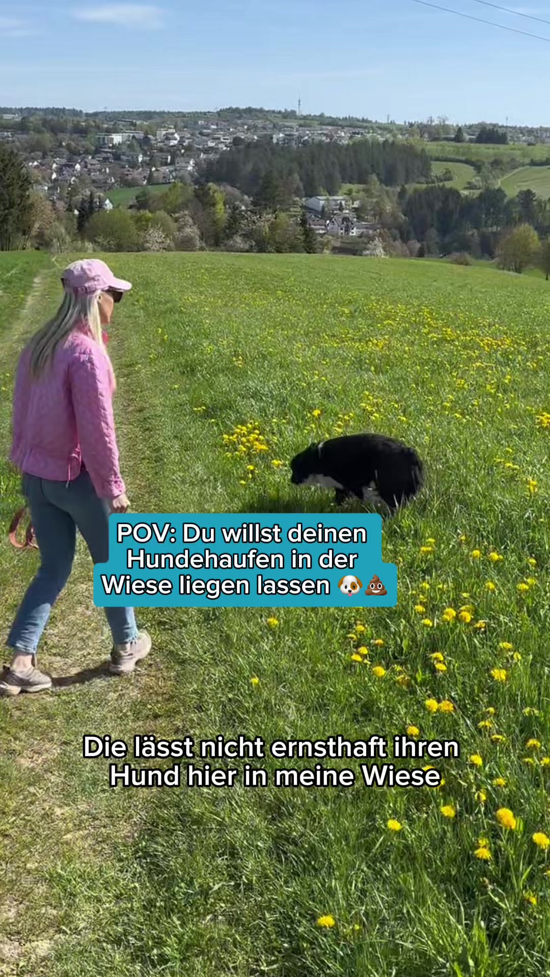 @Schwenks-Hofleben | SWR Heimat