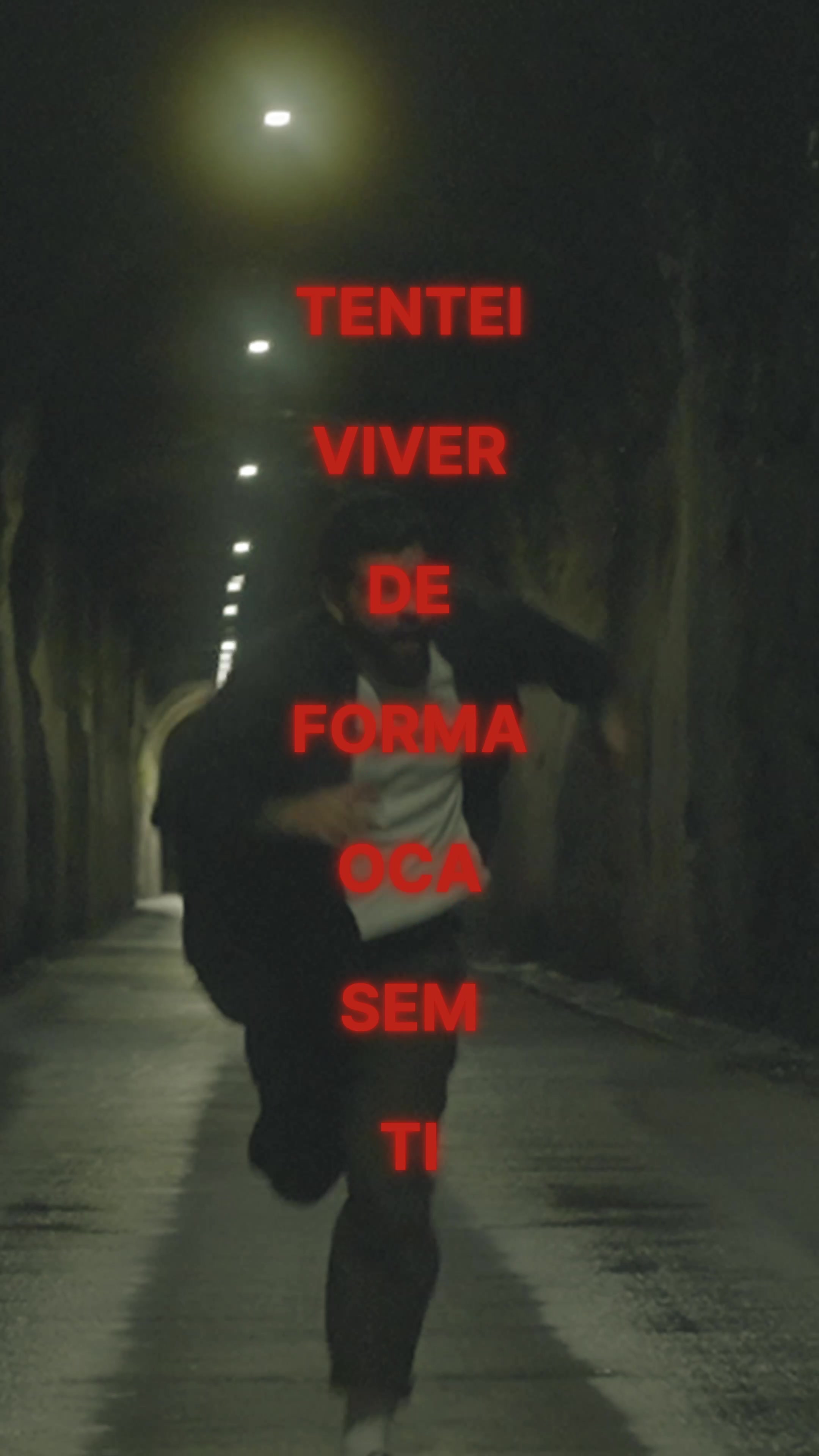 @Vitor Carraca Teixeira