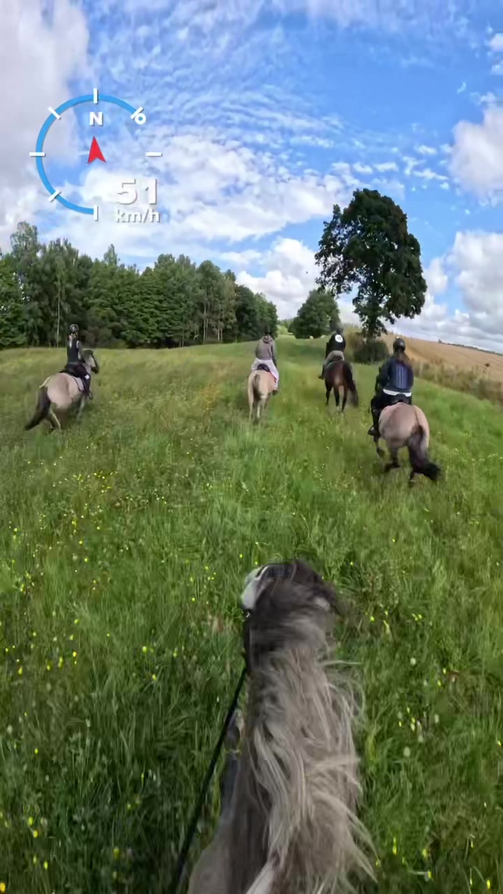 @Stajnia Miejsce Rozwoju