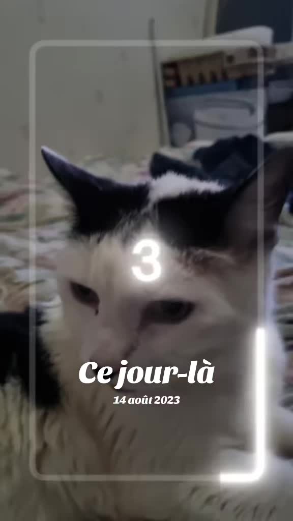 @Dav 54 💫
