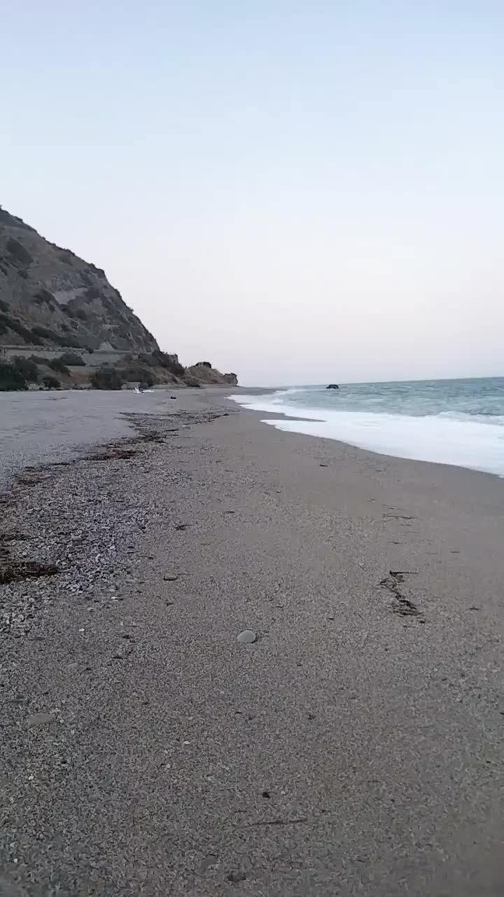 @vito il calabrese