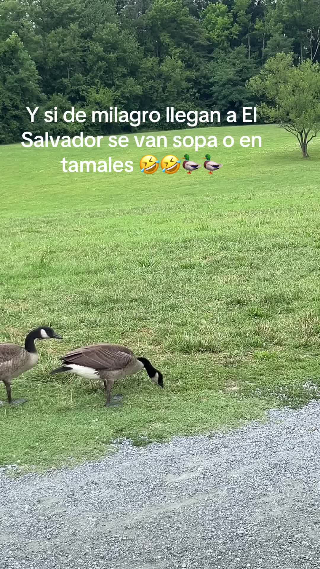 @jacquelin3s