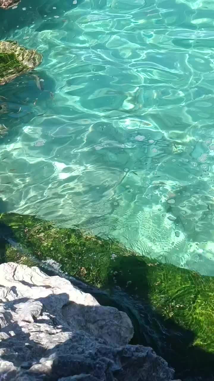@🌈vita 🌈
