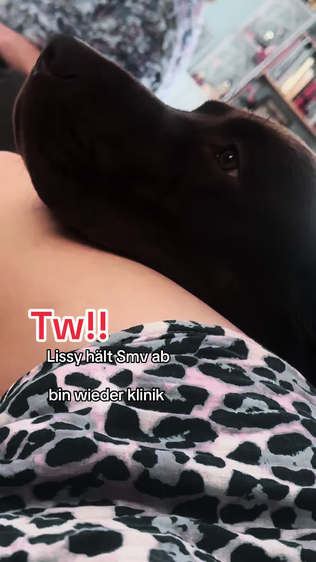 @teamlidialissy