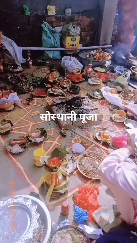 @sushilaparajuli46