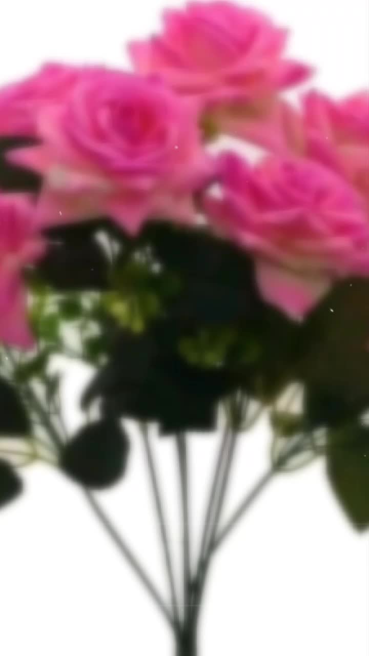 @Rupali Kashyap ๐โค๐