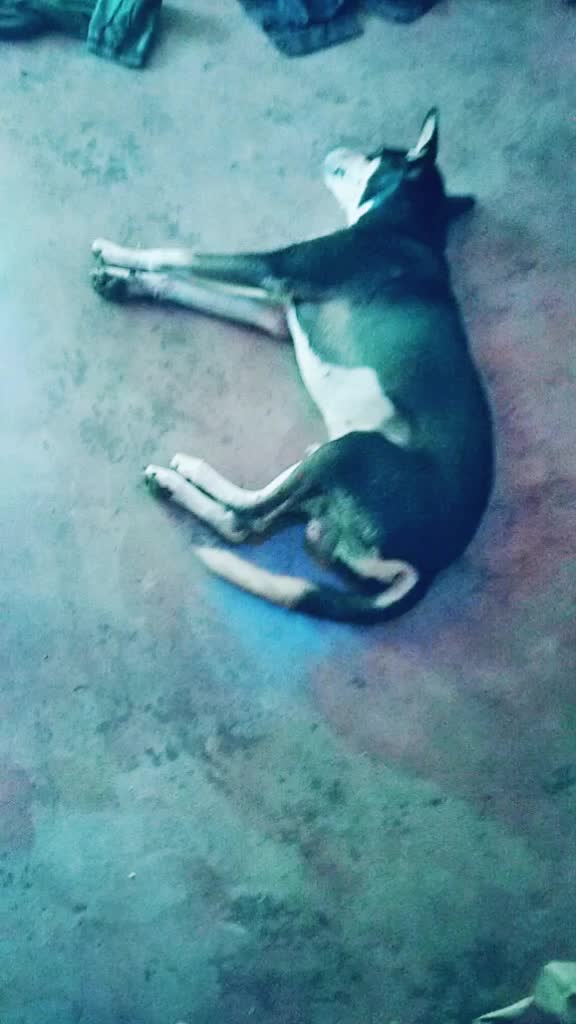 @suban nagarkovil 74