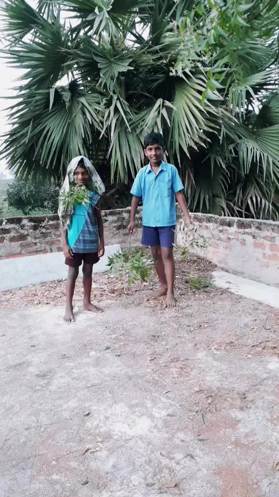 @sunny gandrapu