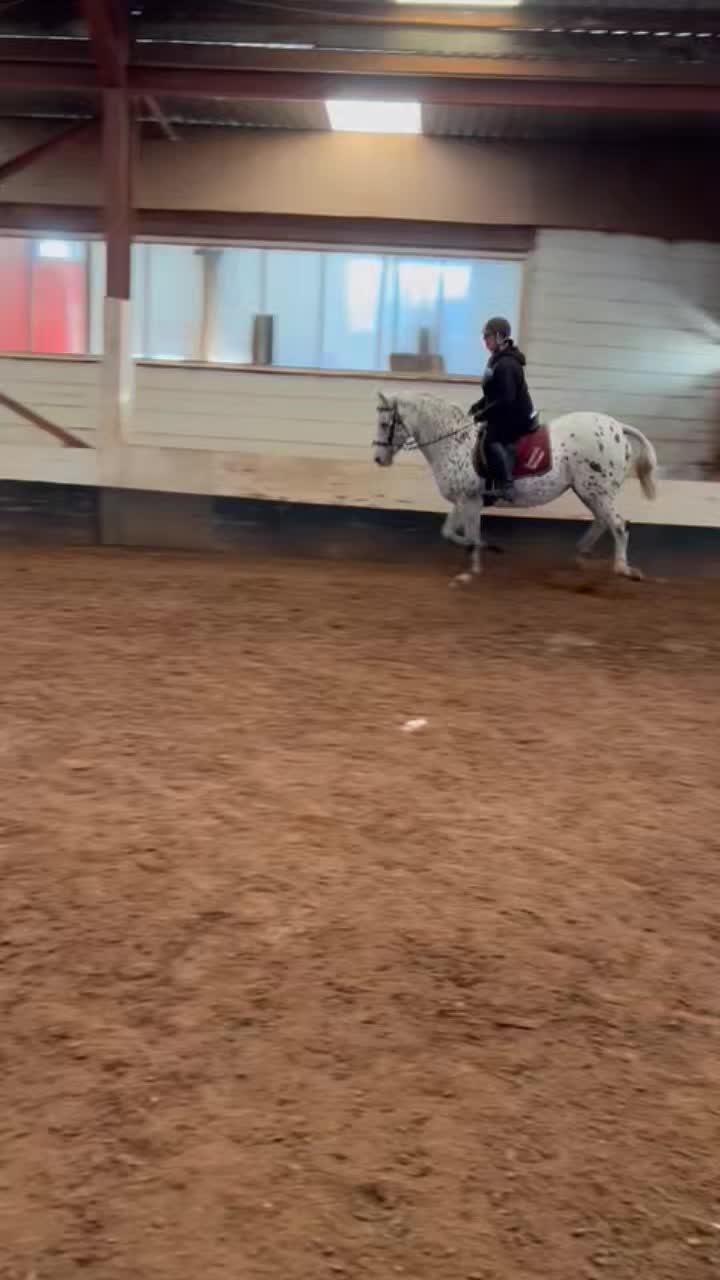 @tiktok michelleshelly