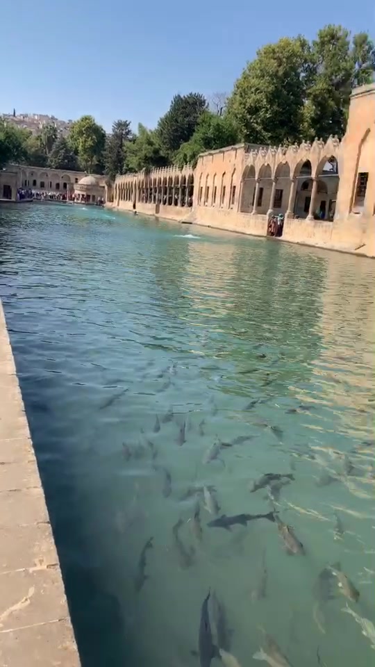@ᗰᖇ.TᑌᖇKIᔕᕼ