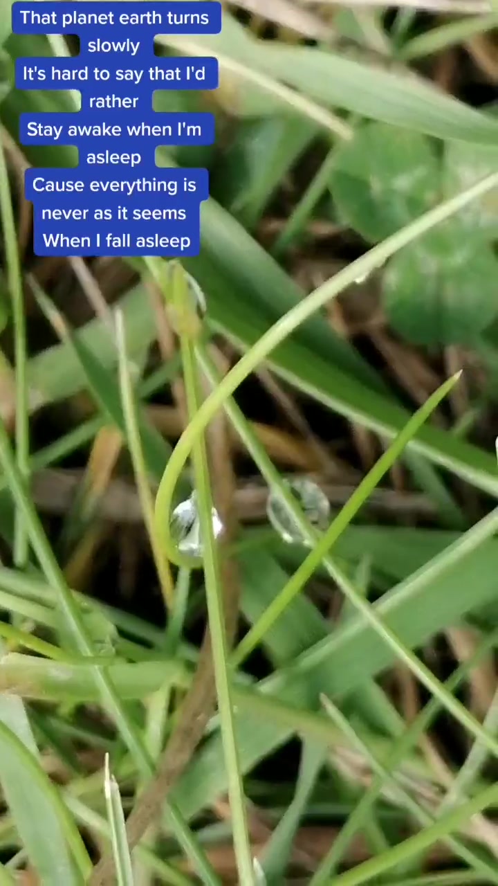 @roguelavellanproductions