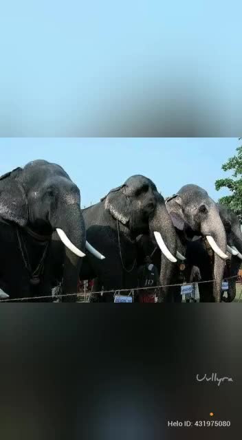 @Gokul Krishnan.G