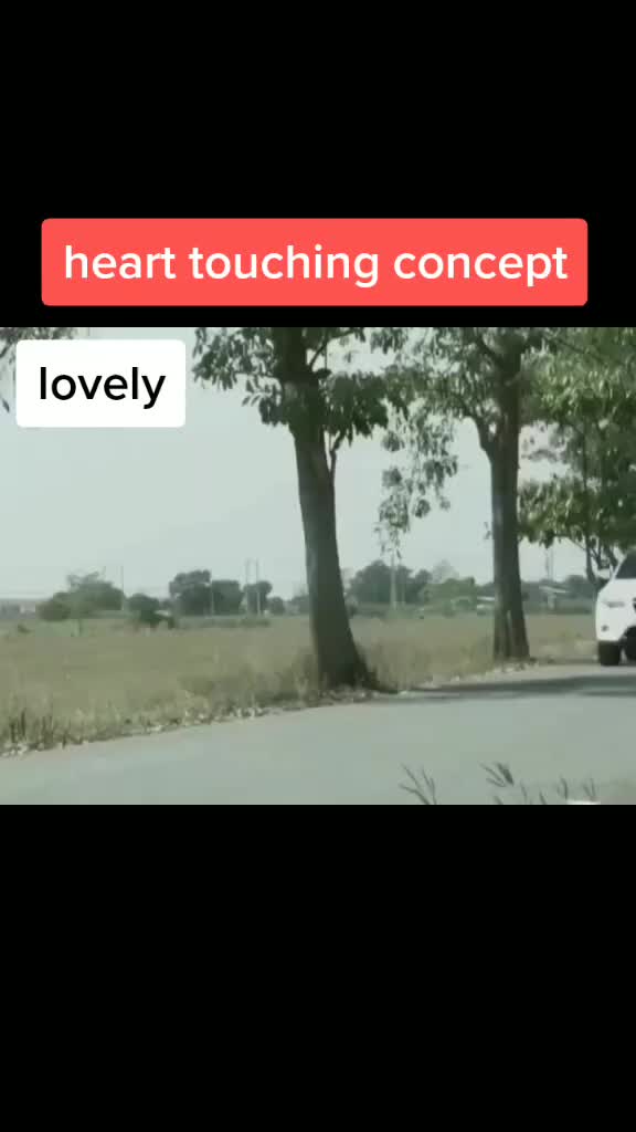 @mistipeu