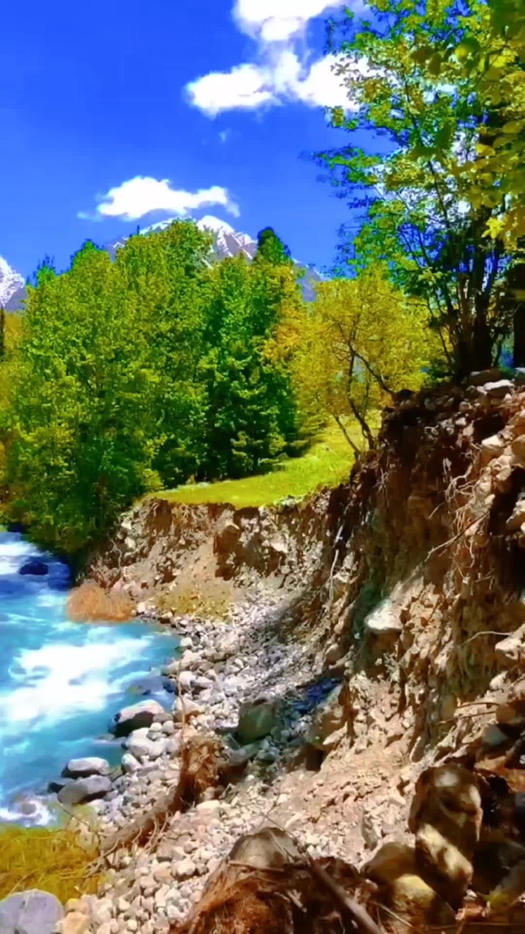 @MubaShir (WOTW YT)