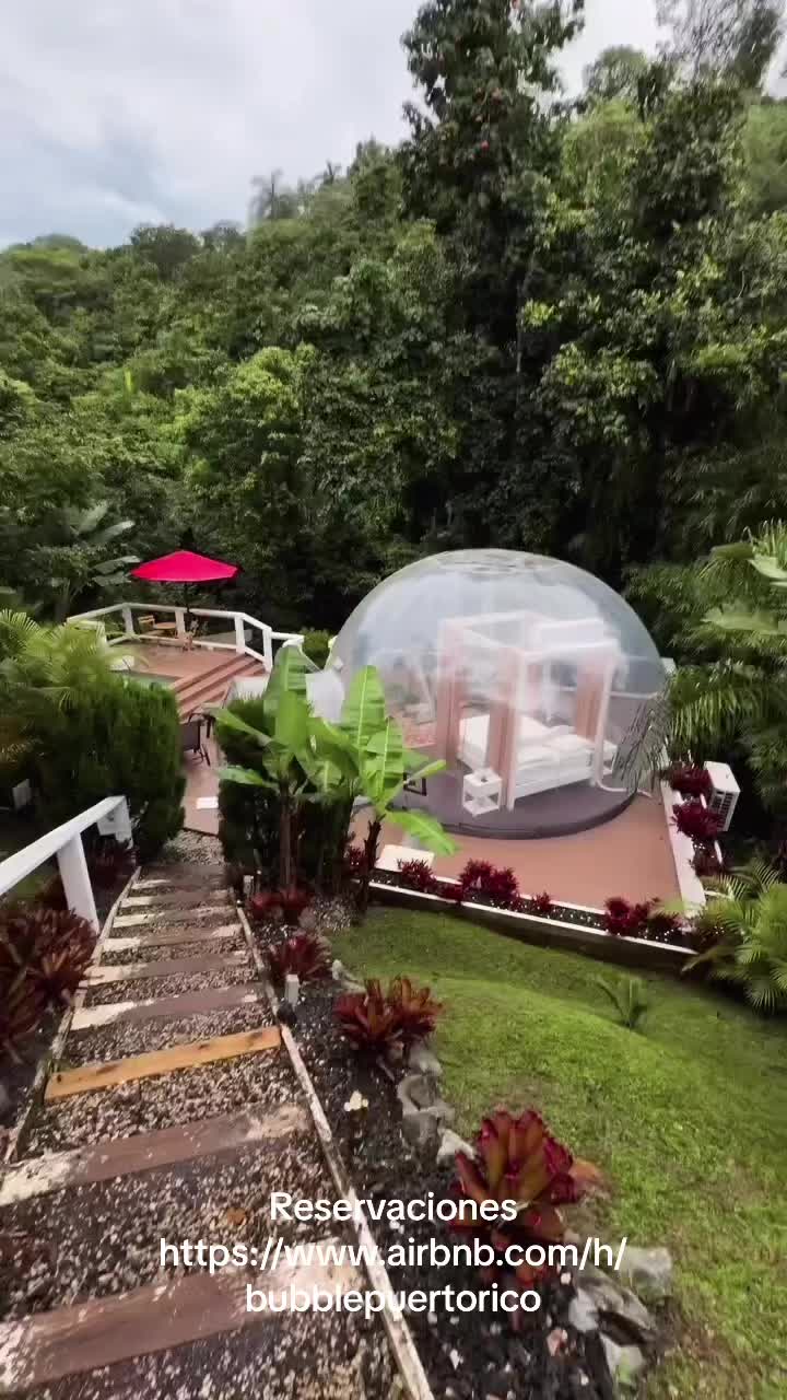 @Bubble Puerto Rico