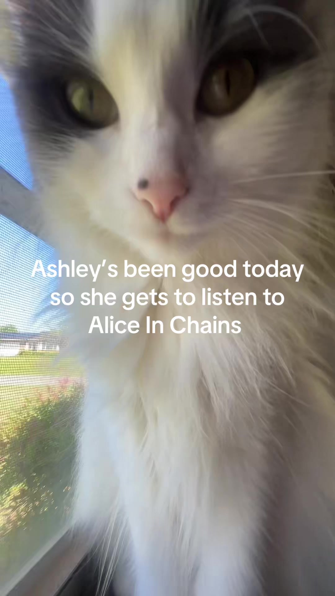 @cltchsnpbabe