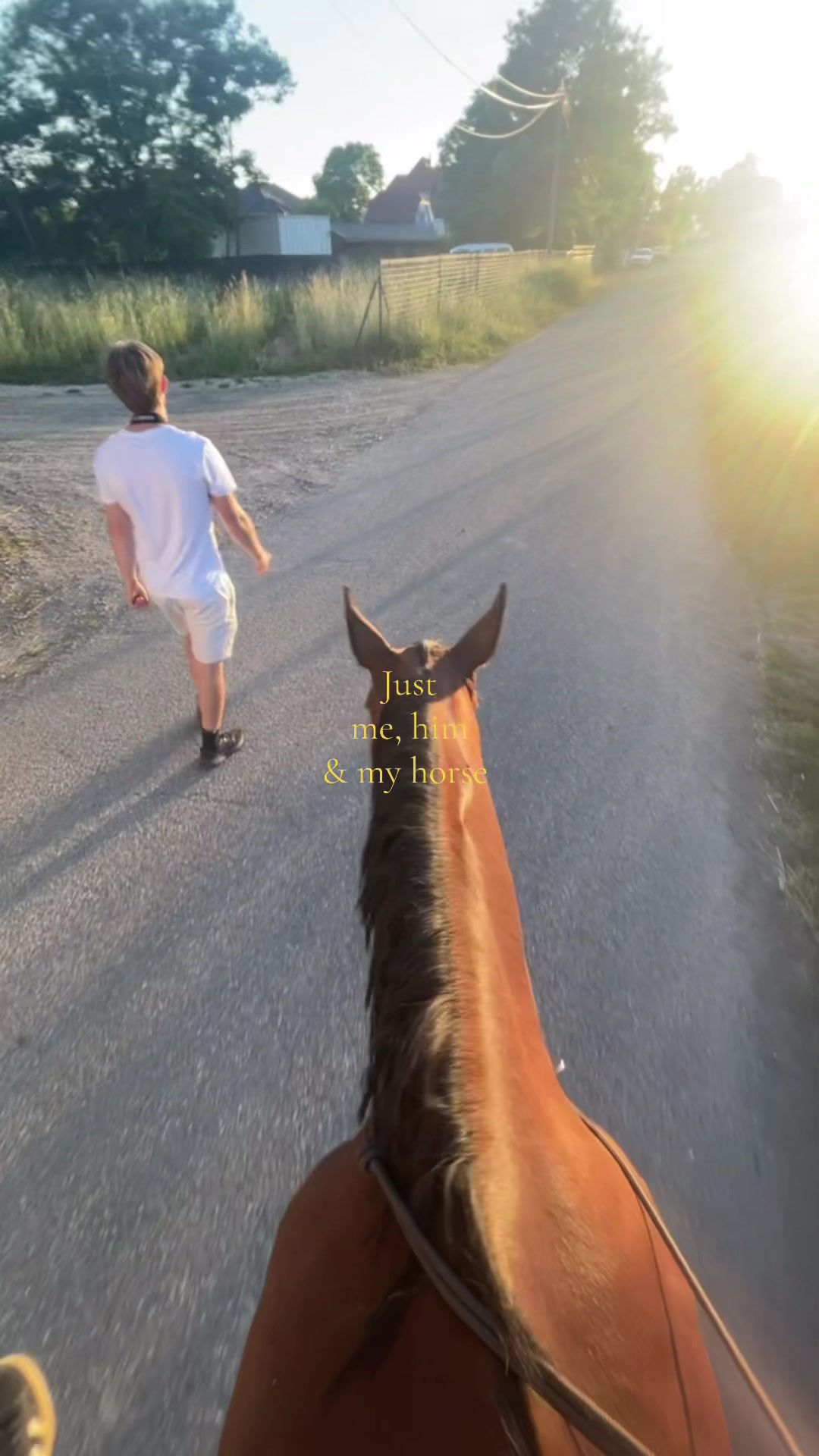 @𝓐𝓷𝓮𝓵 ✩