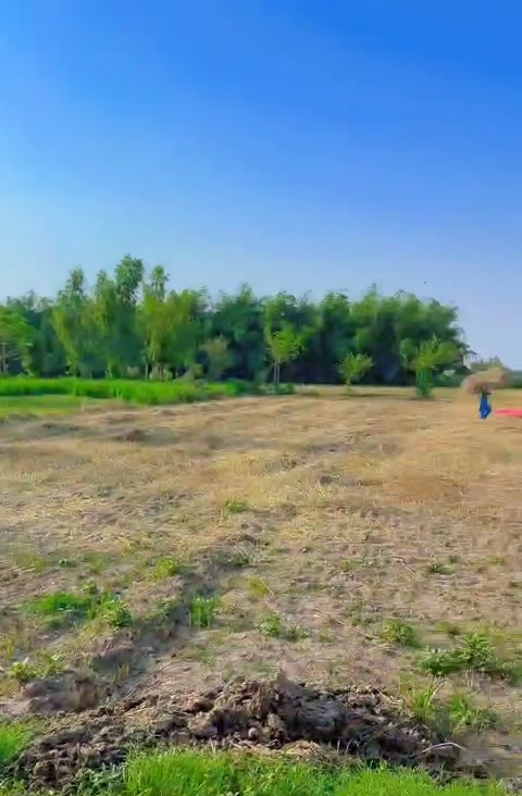 @Faisal Riaz Gondal
