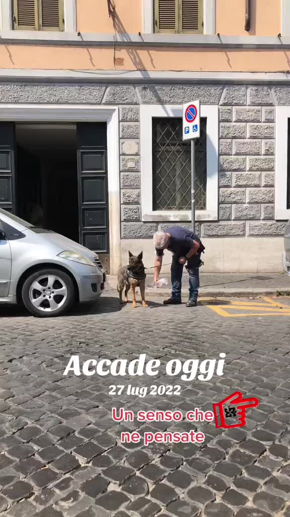 @Janedeivolsci&victorio