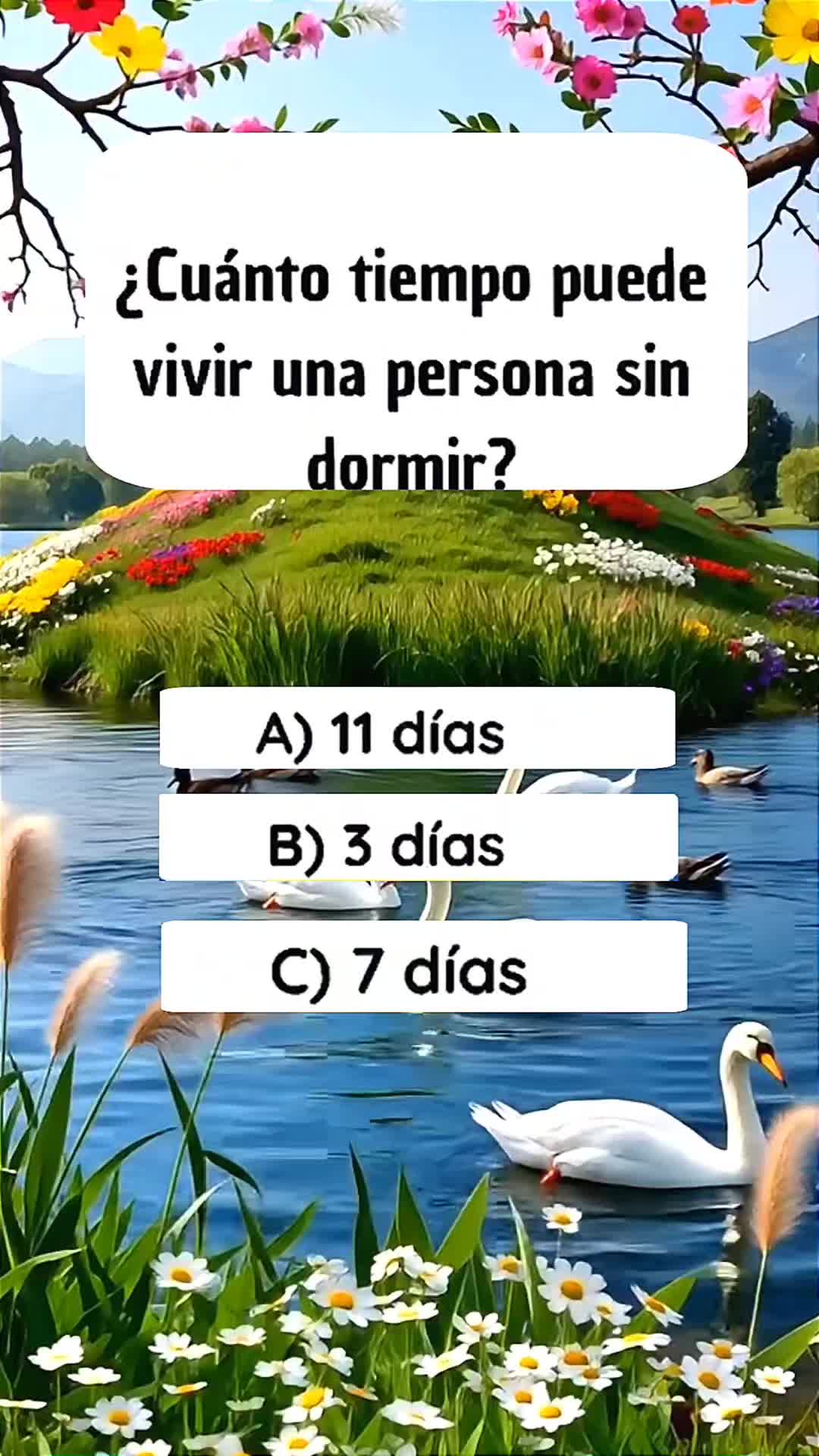 @⭐ triviador