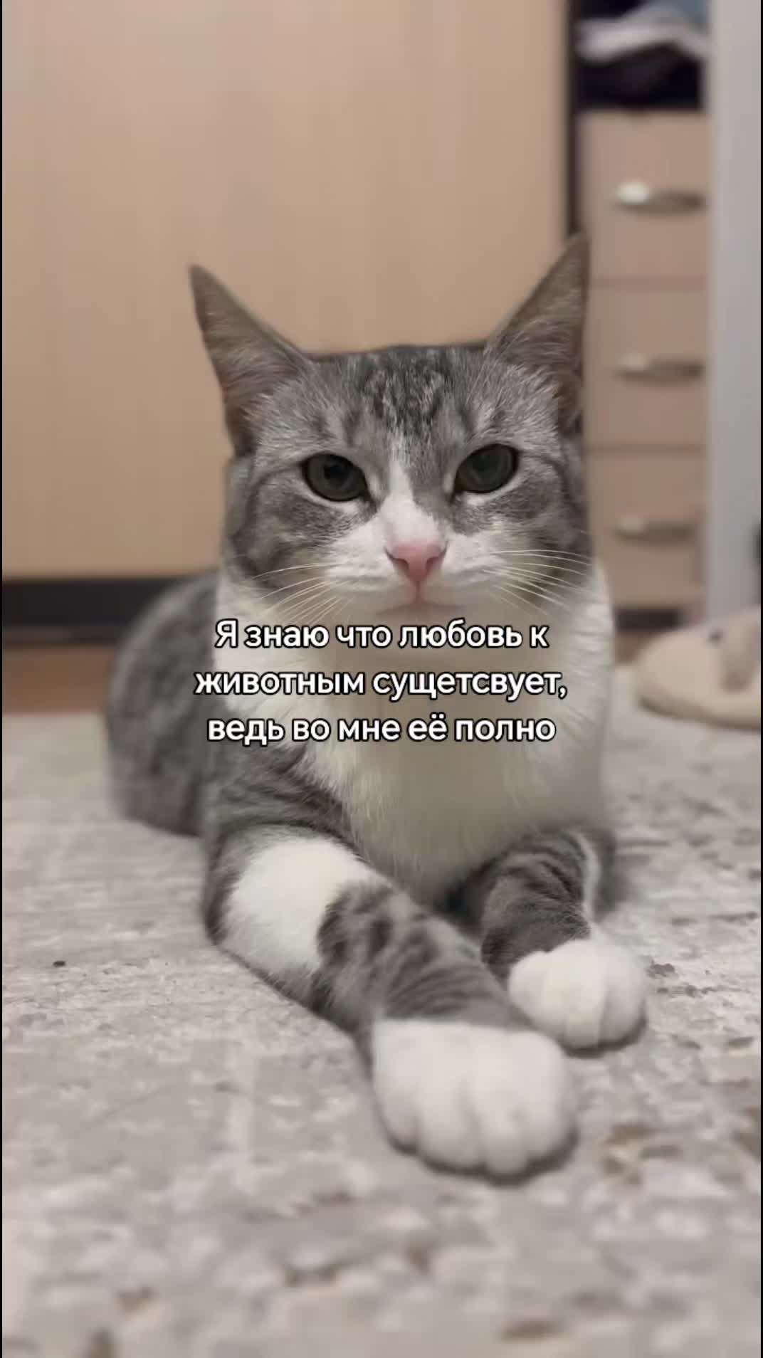 @🩸маньячка🩸