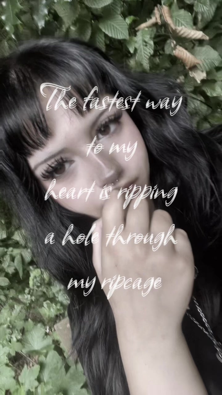 @✧ℳ𝑒𝑜𝓌✧