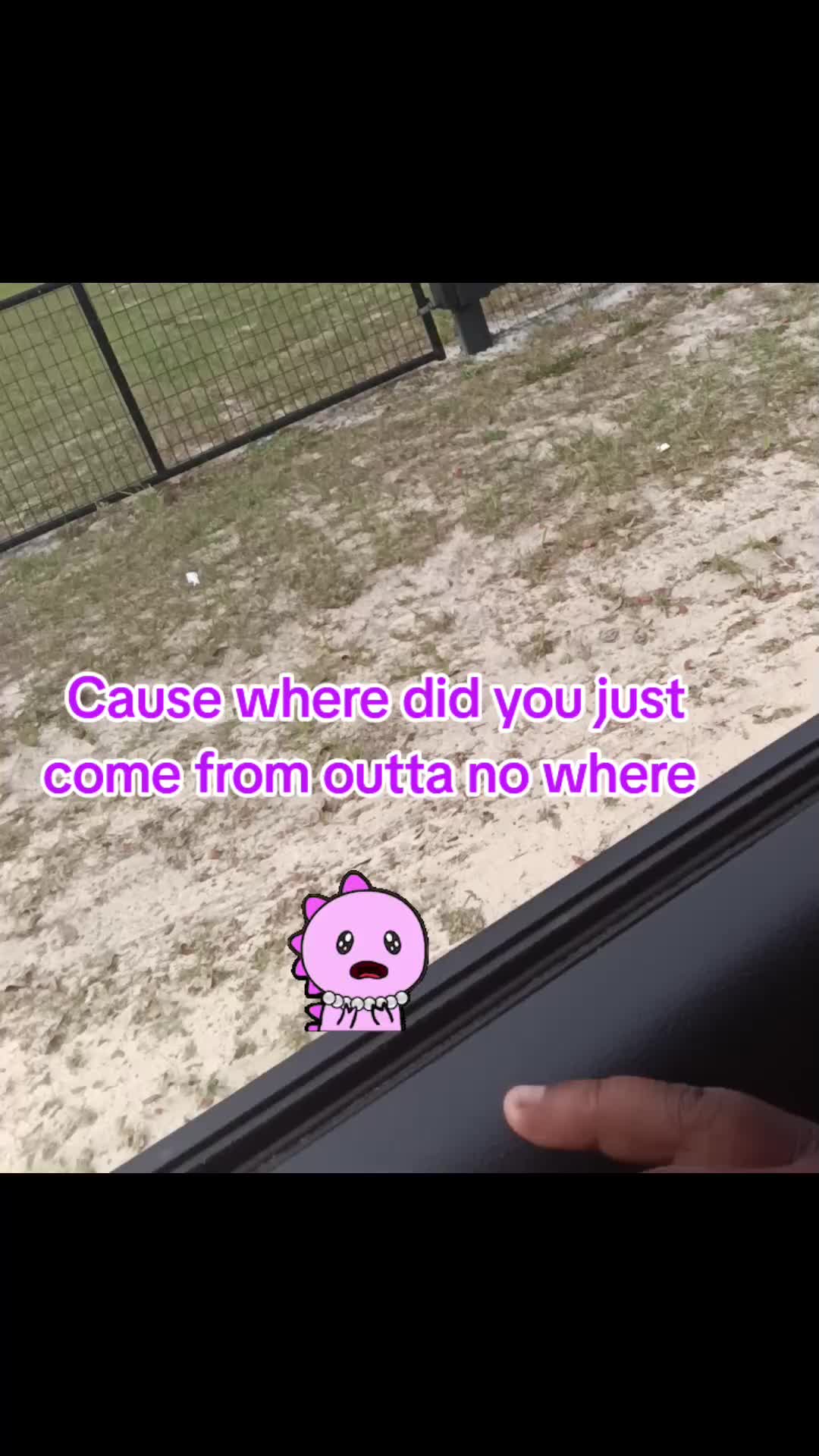 @jessthegreat