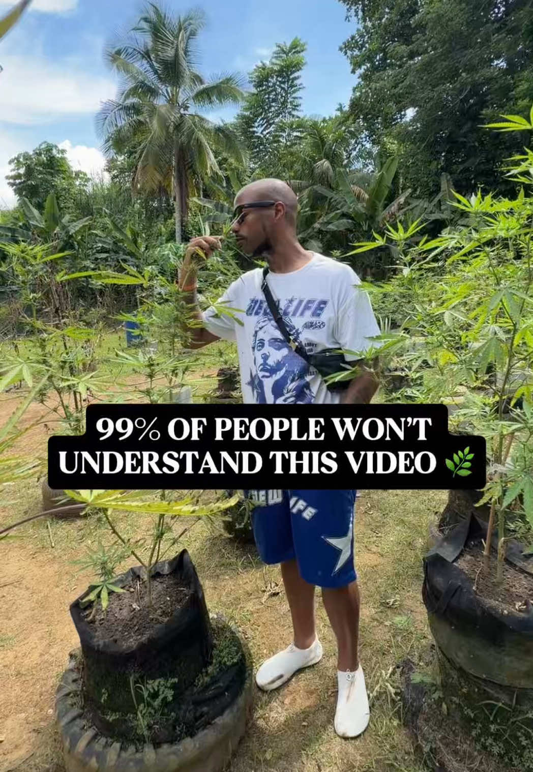 @Real_wealthyCash