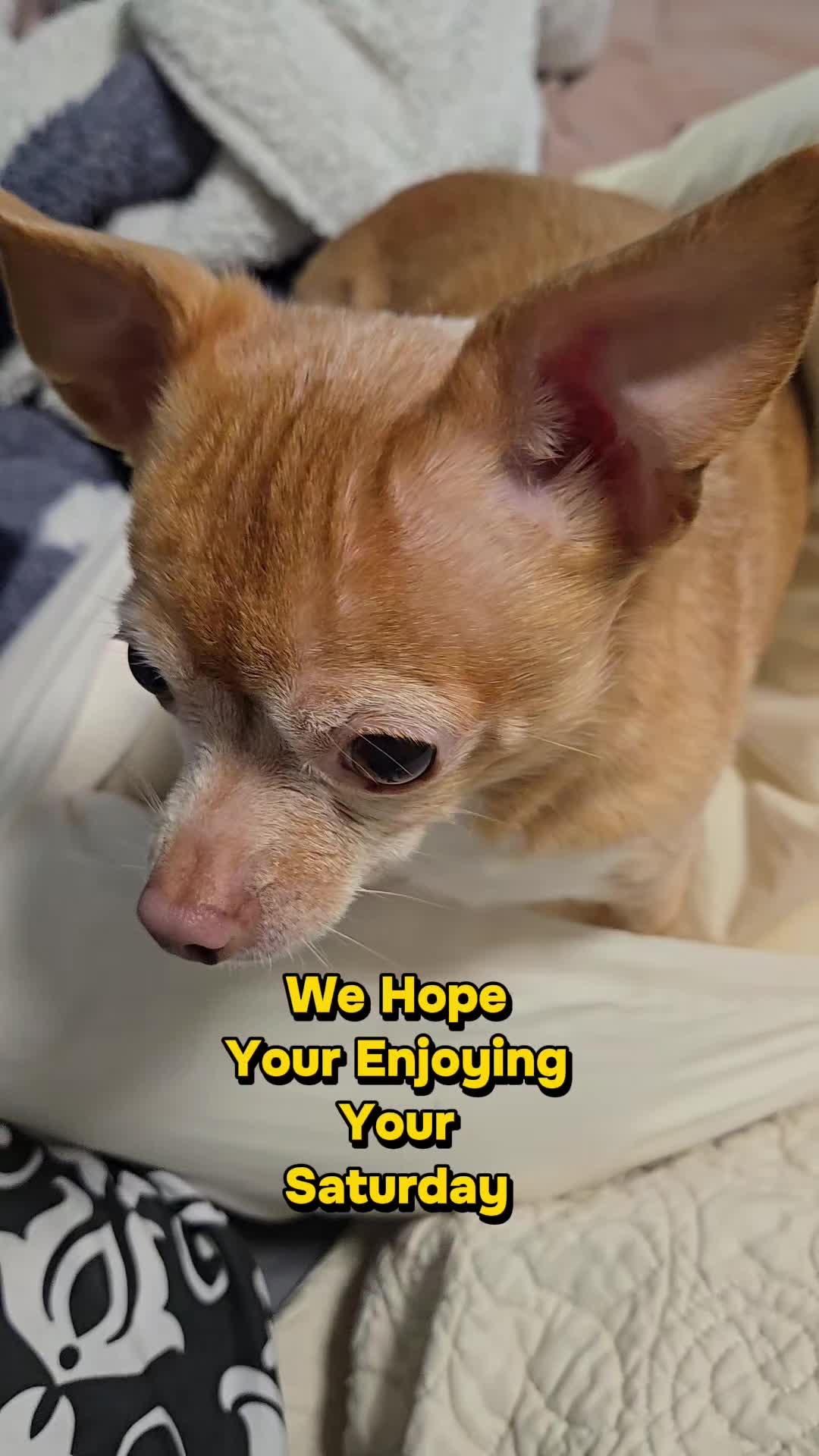 @Red