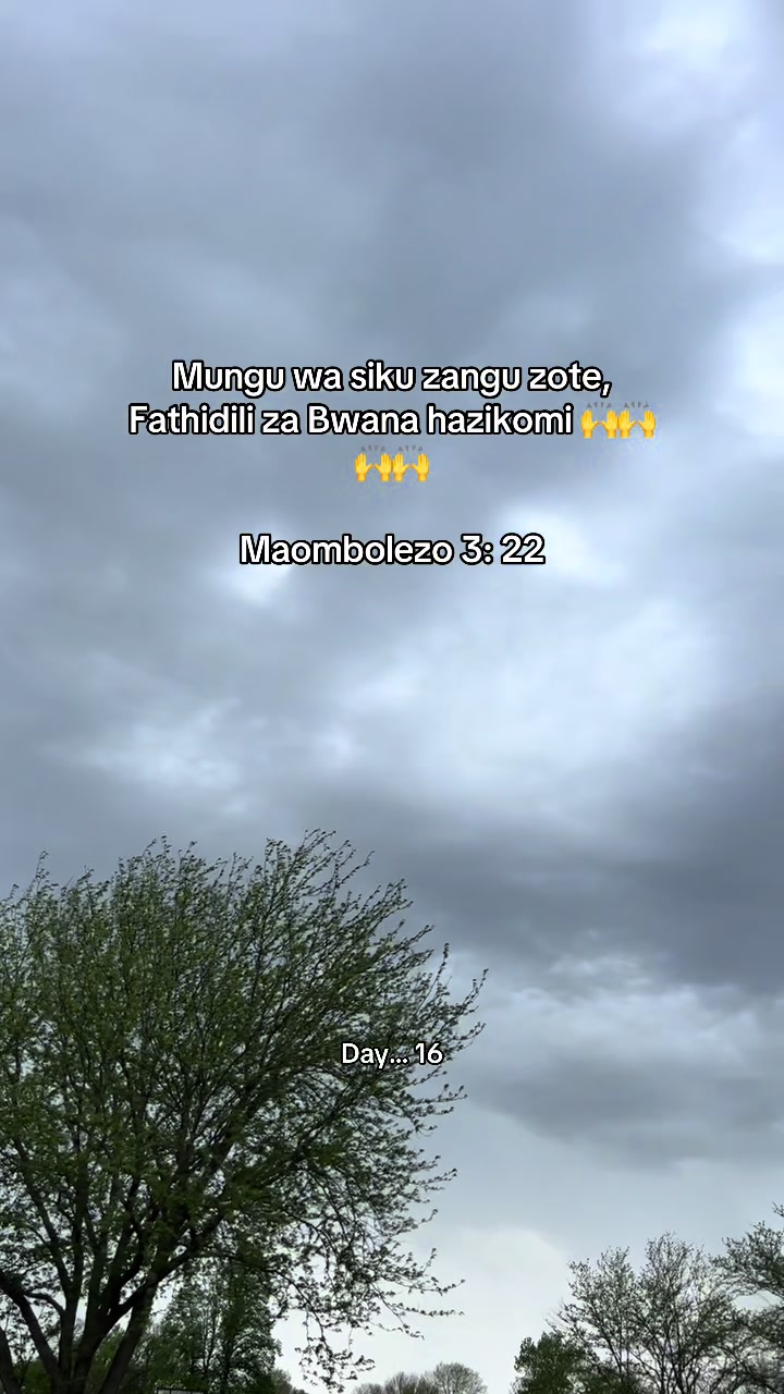 @makolo_rob