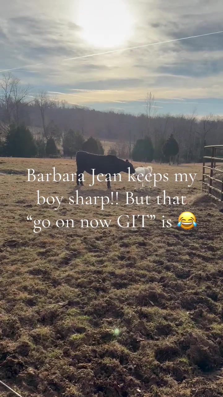 @EasilyDistractedby2Cows
