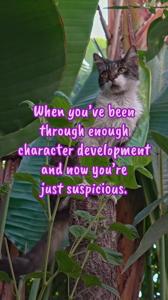 @Barbara June Taylor