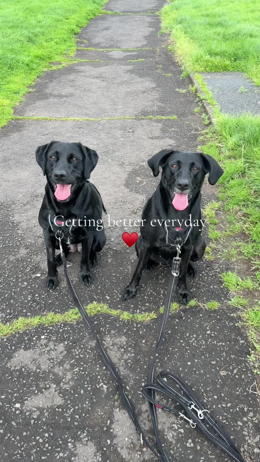 @Penny 🧡 Luna