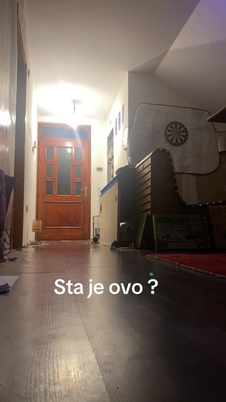 @Joca_cikica