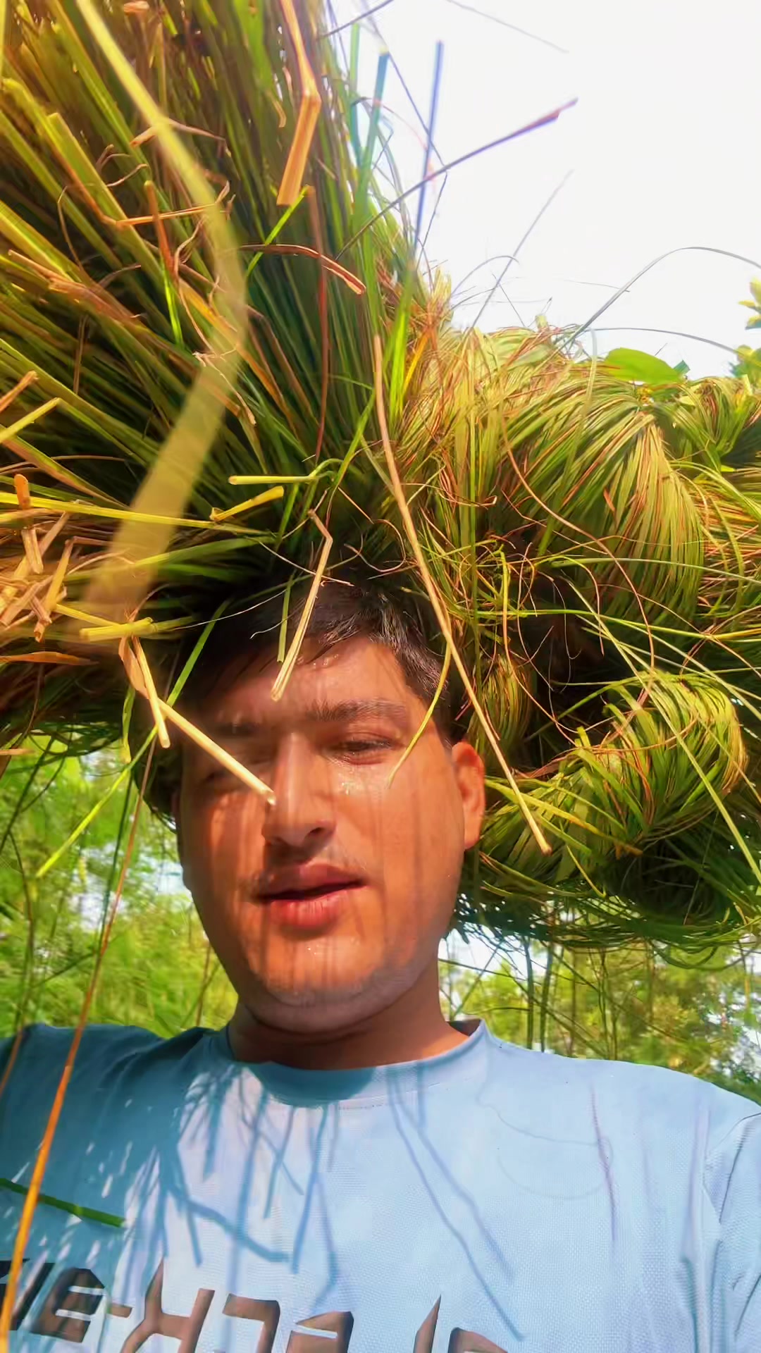 @krishna_tarkariwala