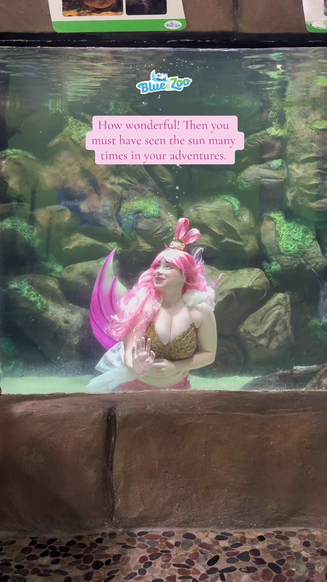 @Rose the Mermaid