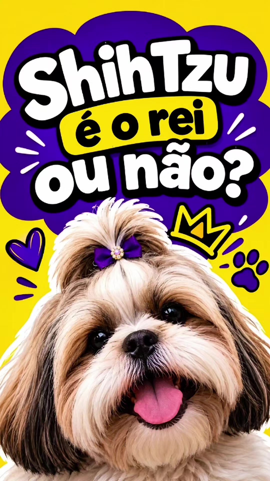 @Explore Aquii 🐾🐾✨️