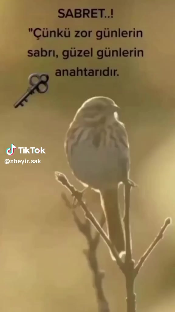 @mevlütkocaman