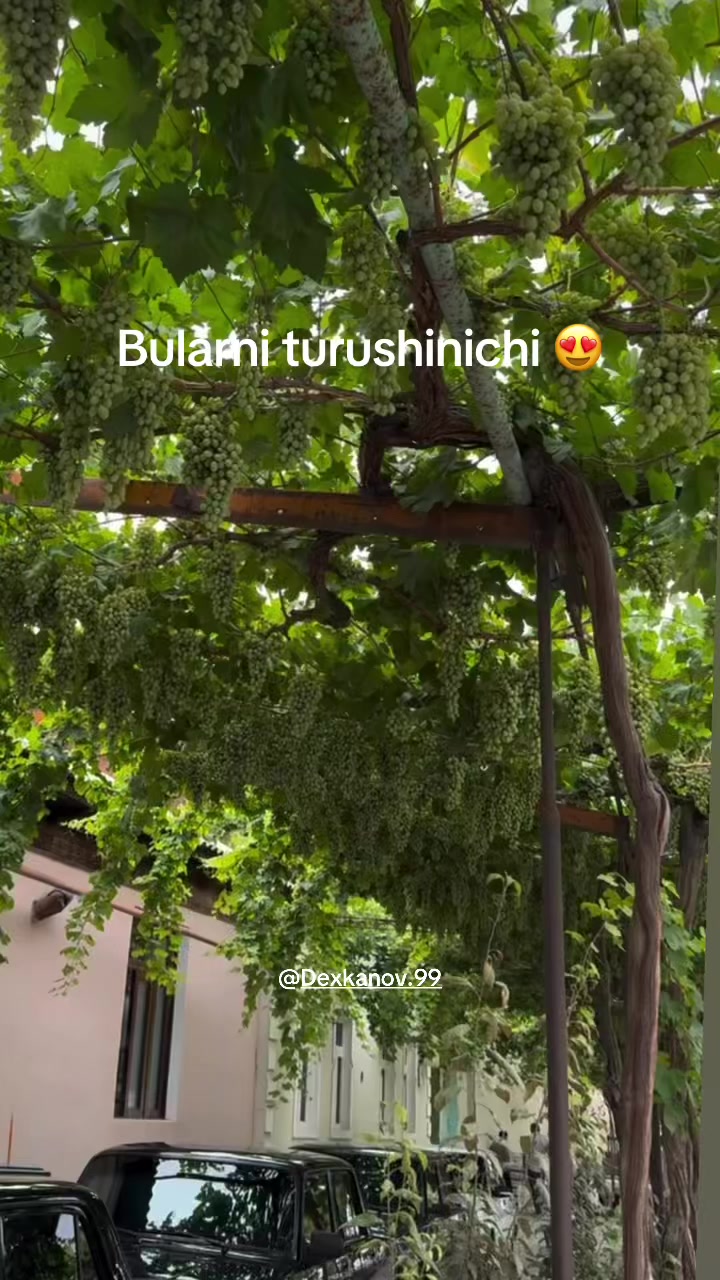 @X_U_R_W_E_D__JAN