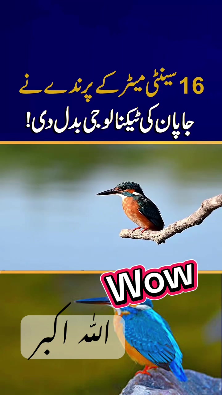 @Asfandyar Barki