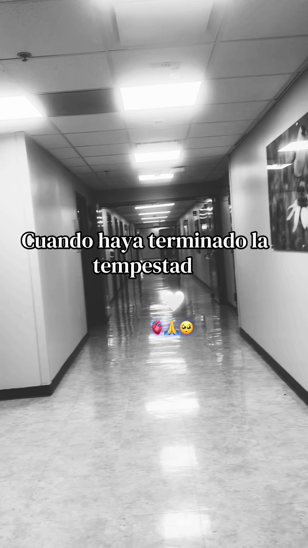 @☕️❣️*𝓜𝓪𝓻𝔂*𝓒𝓱𝓪𝓿𝓮𝔃*☕️