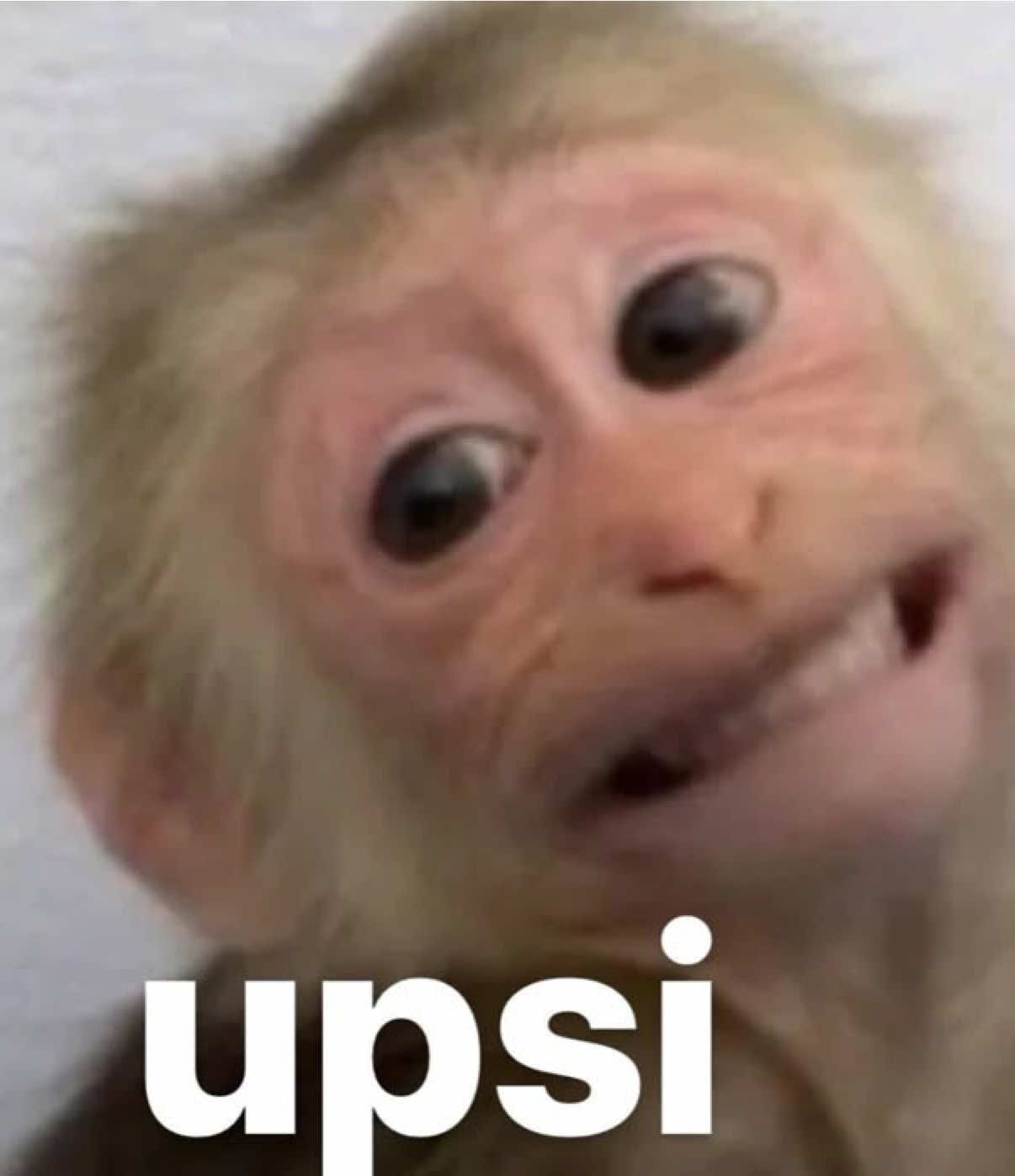 @๐๐ถ๐๐ถ๐๐พโฏ.โหเฟ
