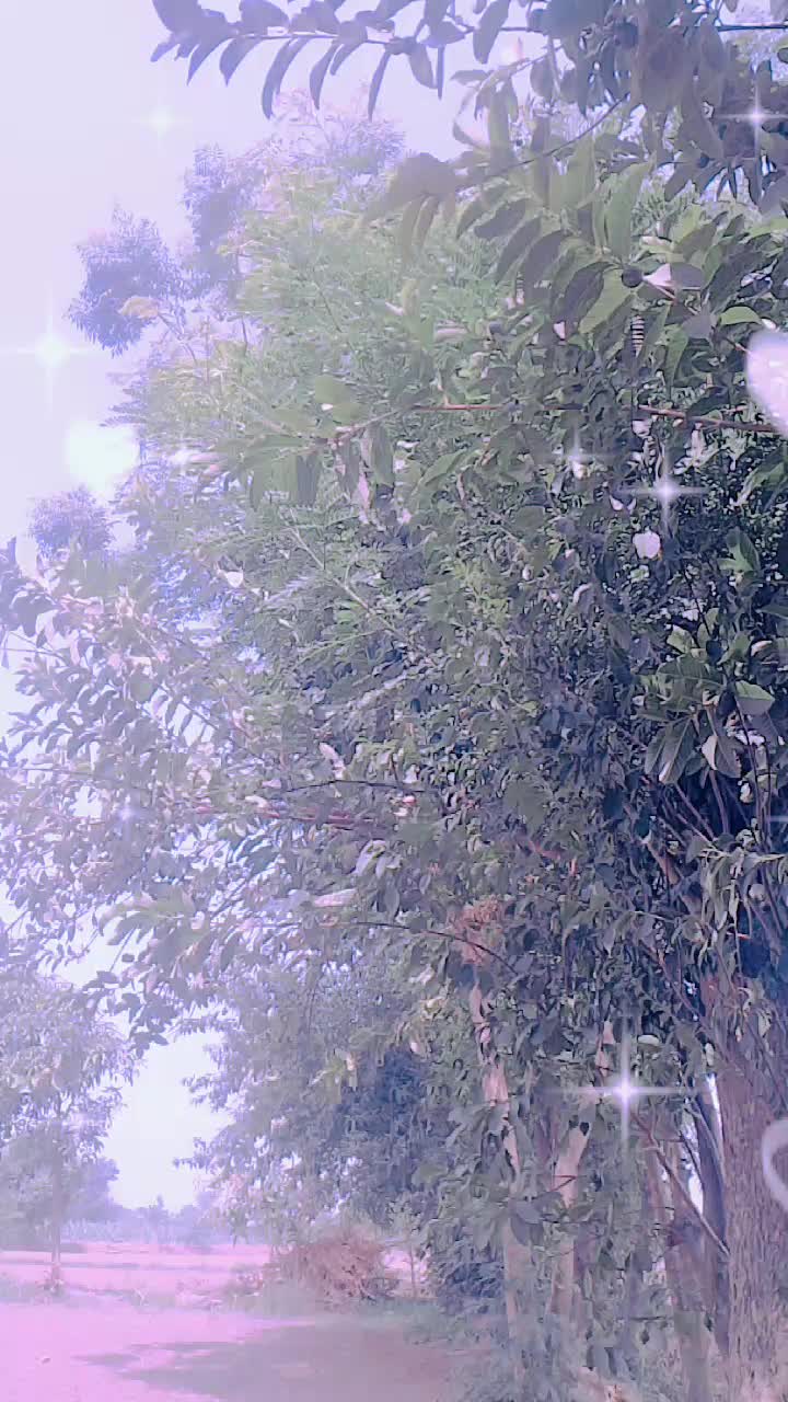 @Uzaifa Malik
