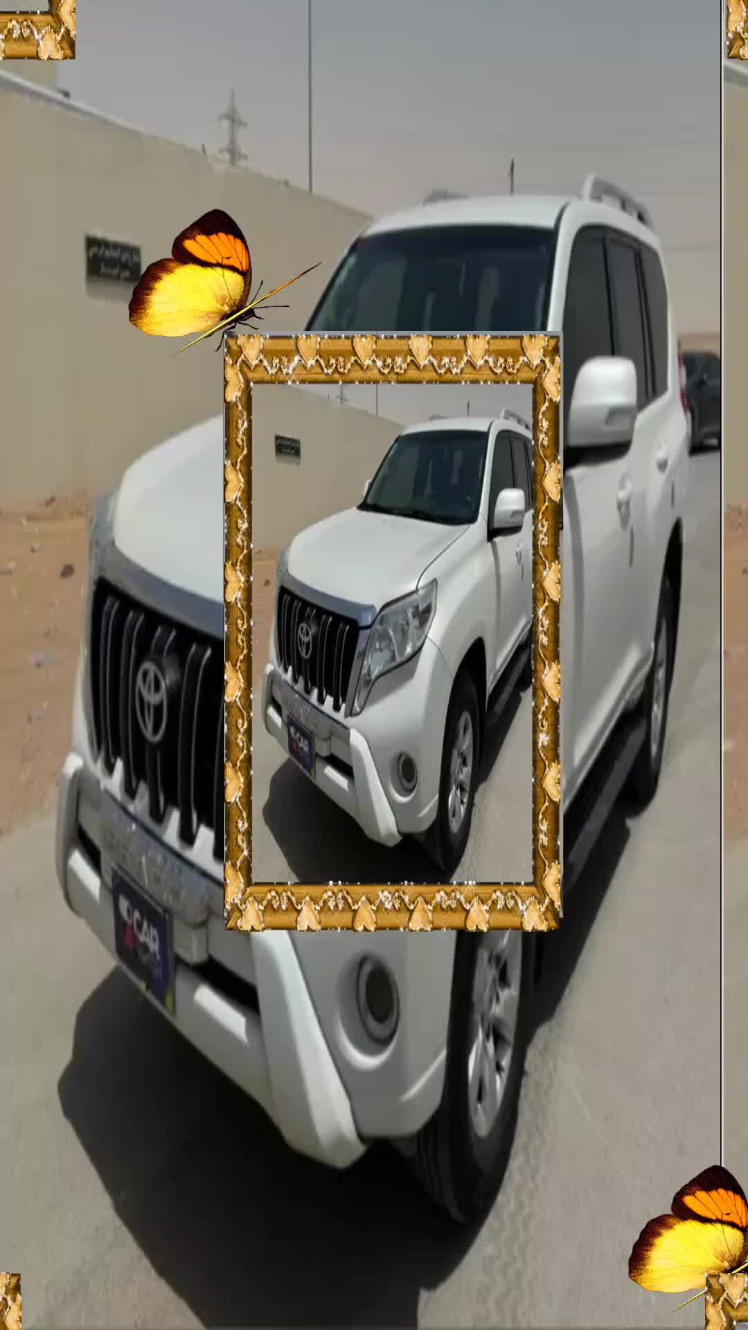 @الصقر اليماني