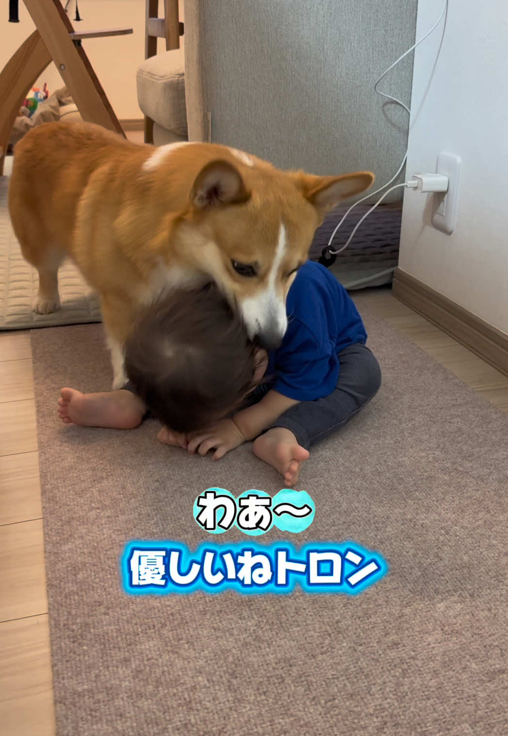 @トロン