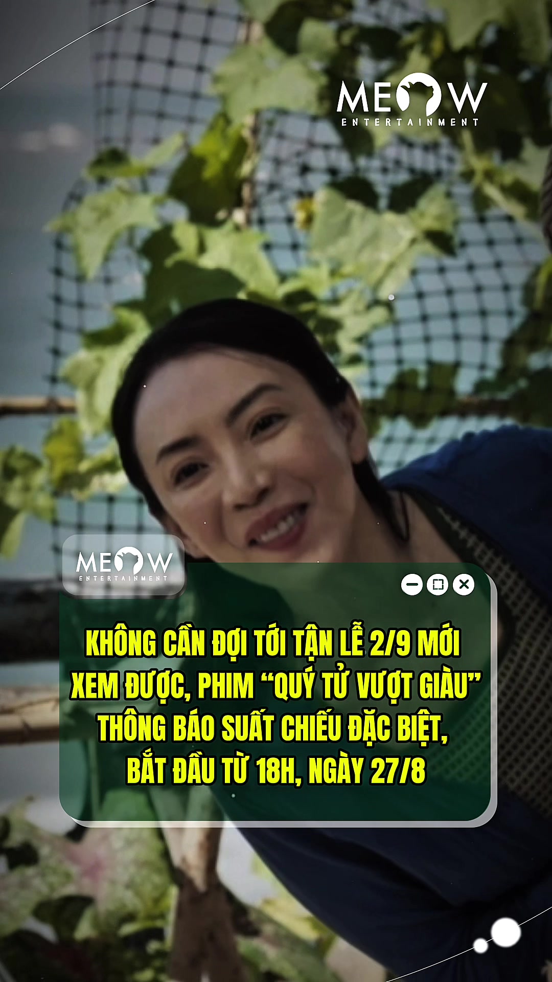 @MEOW ENTERTAINMENT