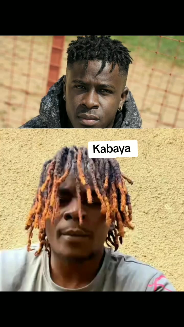 @empe Collins diehard