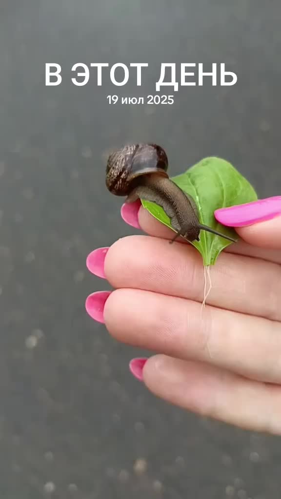 @Елена Скрипка