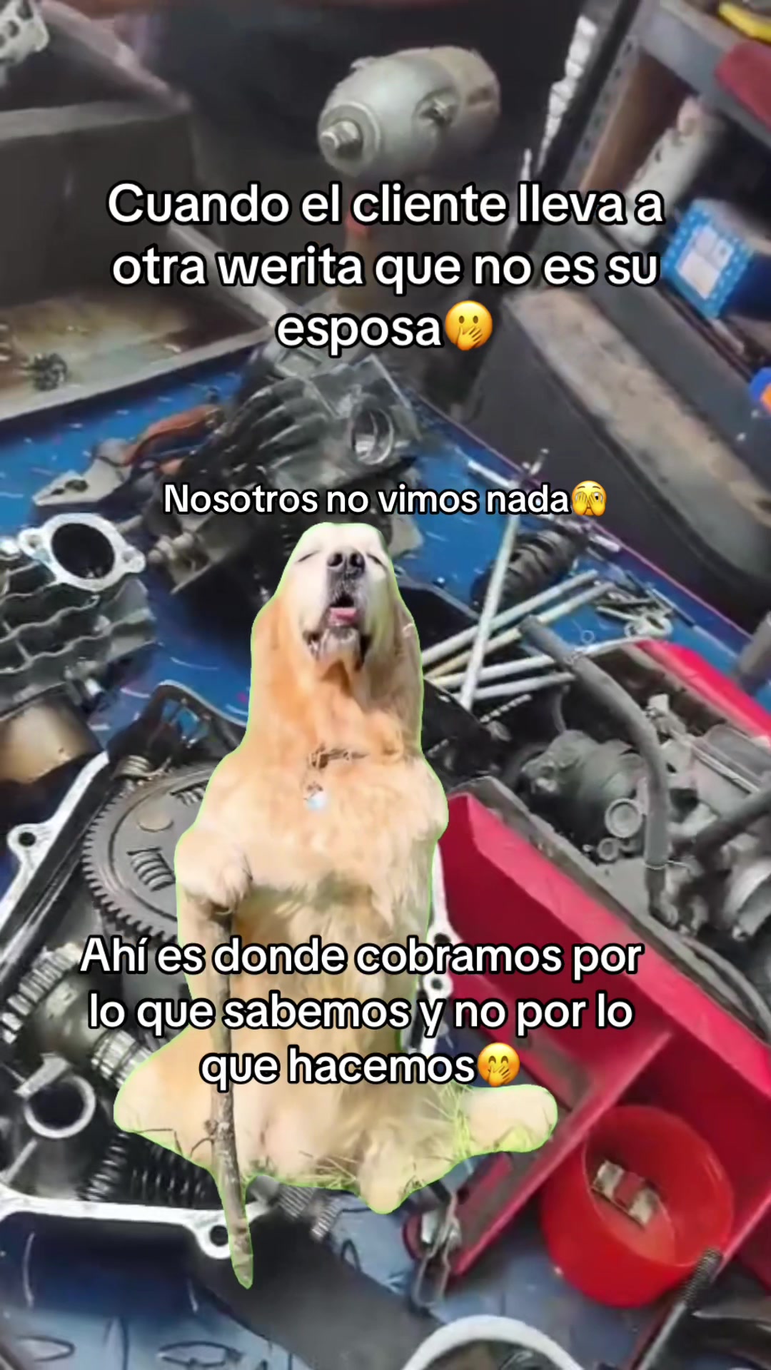 @MedinaMotorsRacing