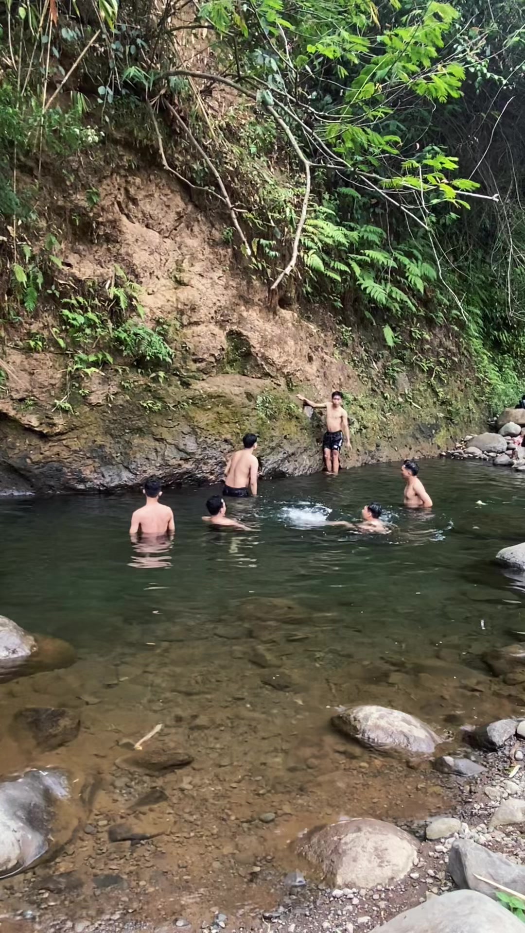 @pantera19